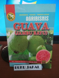 Budidaya - Usaha - Pengolahan Agribisnis Guava (Jambu Batu)