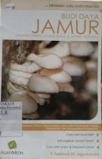 BUDI DAYA JAMUR (JAMUR KUPING , JAMUR TIRAM & JAMUR MERANG )