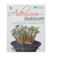 Adenium Arabicum